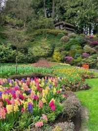 Butchart Gardens – A Garden That Stays in Your Heart