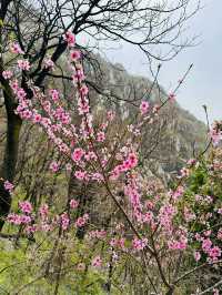 Blooming Stairmaster: China's Most Rewarding Leg Day