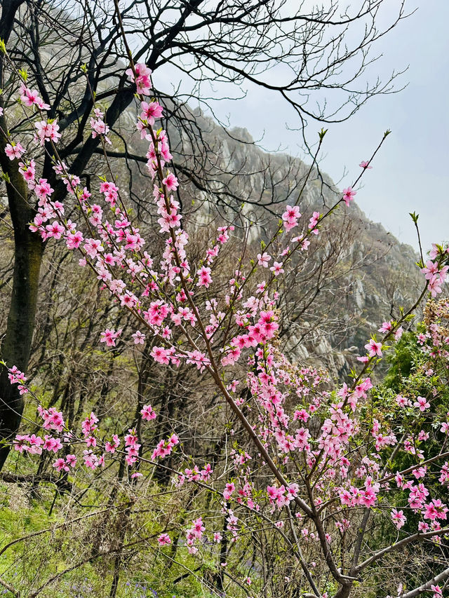 Blooming Stairmaster: China's Most Rewarding Leg Day