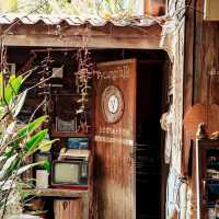 Young Folk Bean & Brew คาเฟ่บรรยากาศอบอุ่น