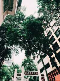 石水渠街花園｜灣仔隱秘打卡綠洲