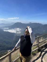 Phu Chi Fa – Chasing the Sea of Mist.