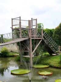 แกะ กะ บัว  |  Farm cafe & restaurant