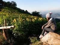 วันวานที่…..บ้านภูหมอก ⛰️