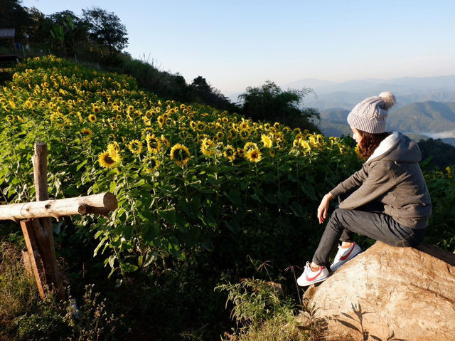 วันวานที่…..บ้านภูหมอก ⛰️