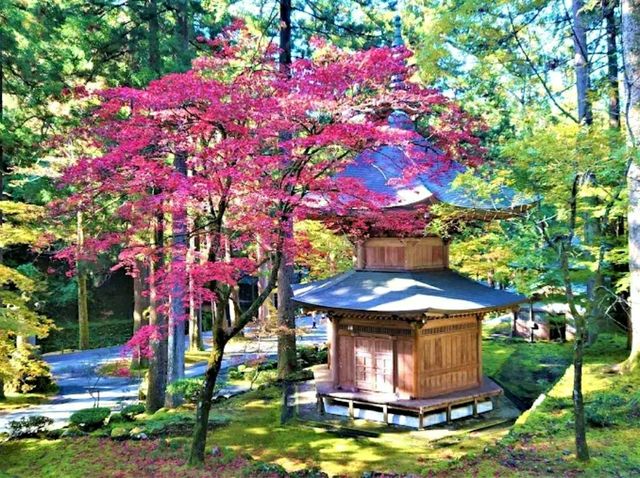 Daihonzan Eiheiji – The Tranquil Zen Monastery of Japan