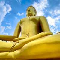 วัดม่วง