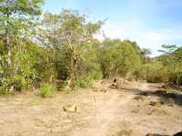The ascent to Mount Pundaquit : Anawangin Trailblazer's tale
