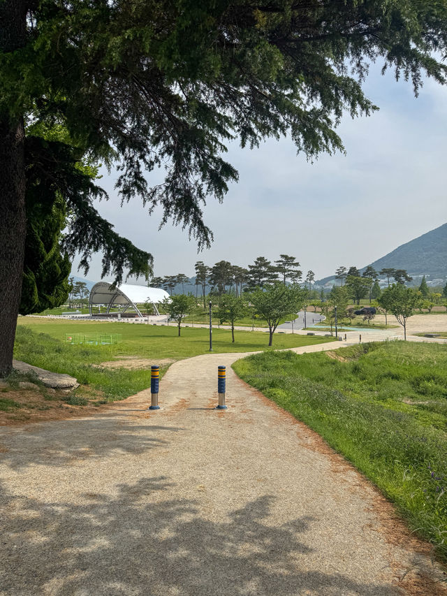 꽃보며 산책하기 좋은 ‘황산공원’