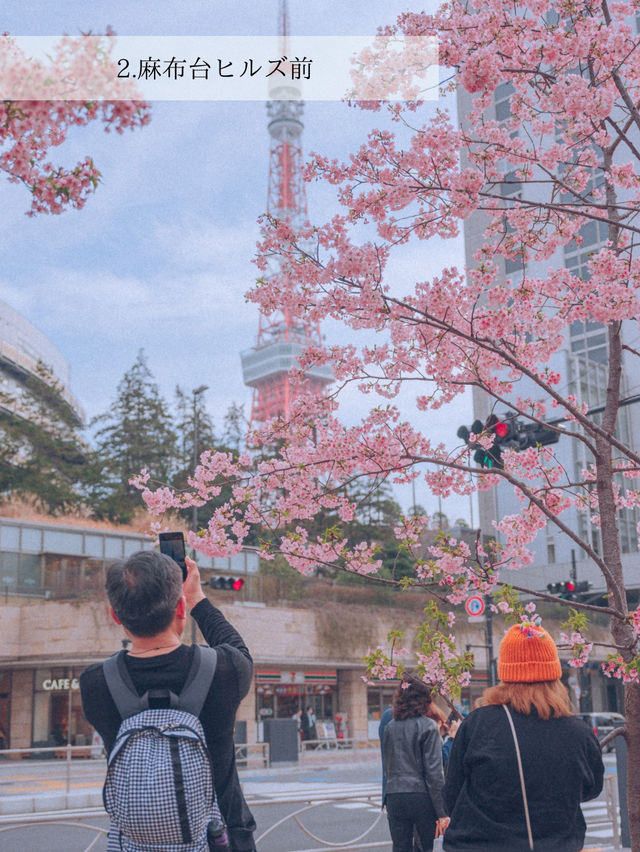 東京タワーとの写真スポット 3選