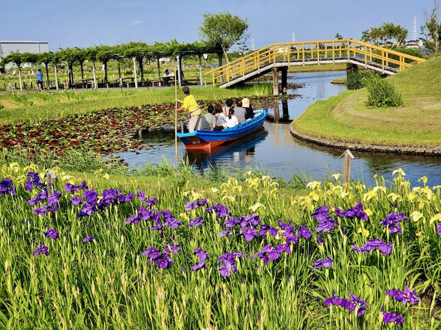 The Suigo Sawara Ayame Park