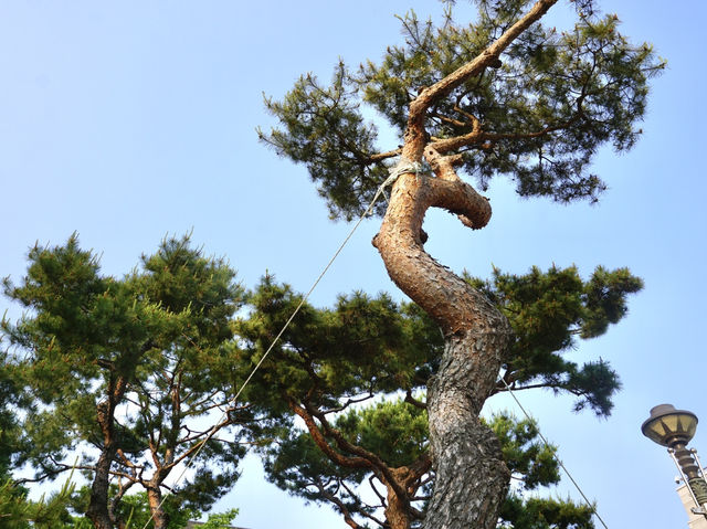 석수의 숲에서 힐링도 하고, 역사 체험 후기