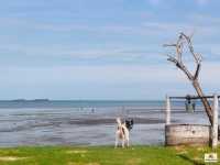 White House Beach Camping Caravans