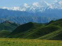 Where Cultures Meet: Discover Yili
