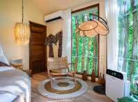 ‘Lan Na Wild’ ..สวรรค์กลางป่าใหญ่บนยอดดอย