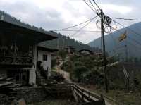 Off-the-Grid Magic and Mountain Feels