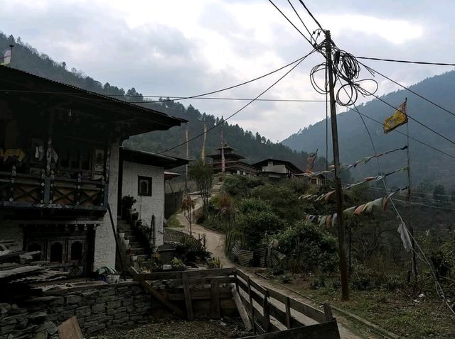 Off-the-Grid Magic and Mountain Feels