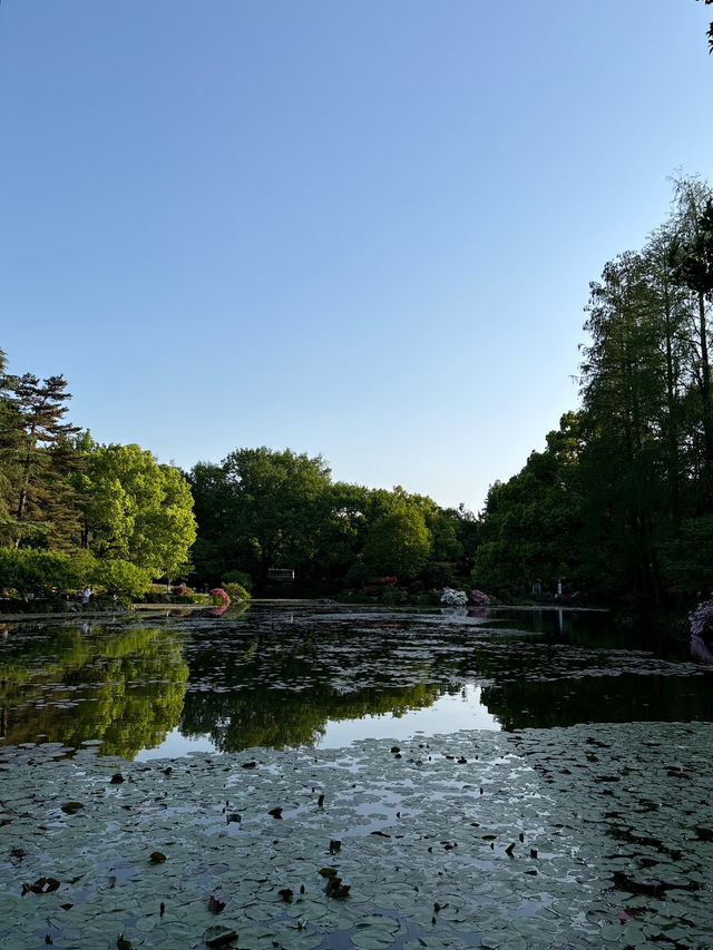 เดินเล่นใน Hangzhou Botanical Garden