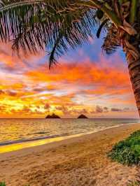🌺✨하와이 여름 로망 3일 여행 완전정복 가이드｜섬 속 파라다이스를 누비다🏝️