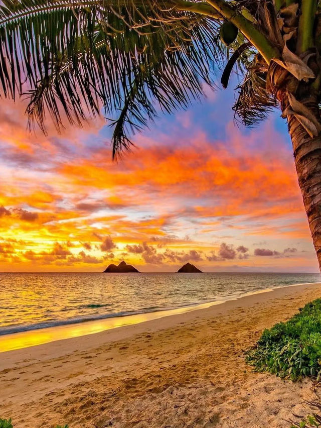 🌺✨하와이 여름 로망 3일 여행 완전정복 가이드｜섬 속 파라다이스를 누비다🏝️