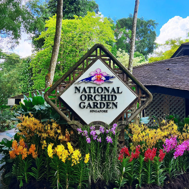 【🇸🇬Singapore】Nature Date at the National Orchid Garden – for Free! 🌸✨