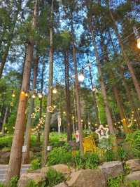 비밀스런 숲속 정원이 펼쳐지는 부산카페🌳