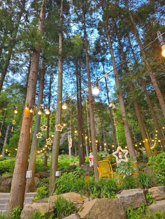 비밀스런 숲속 정원이 펼쳐지는 부산카페🌳