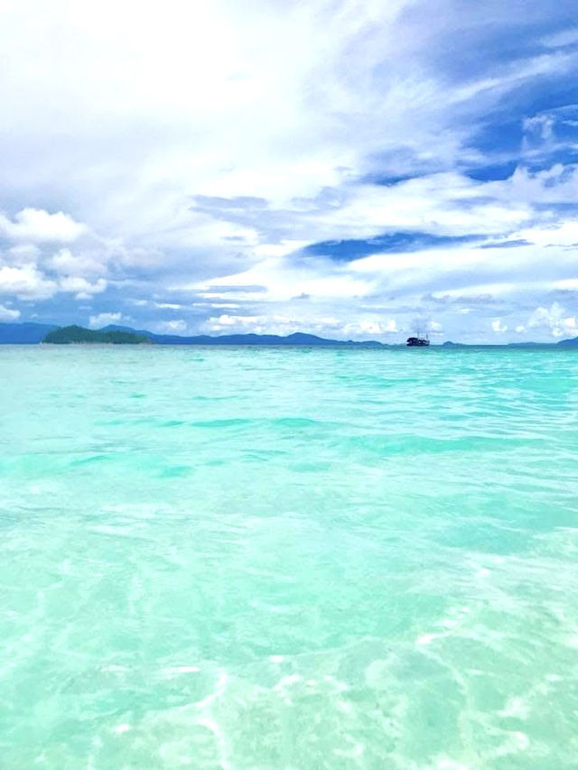 こんなに安くて大満足！シミランで賢くリゾート体験🌊🐠💸