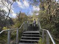 A Solitary Stroll Through Watsons Bay & Beyond, NSW