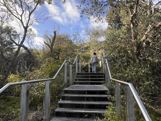 A Solitary Stroll Through Watsons Bay & Beyond, NSW