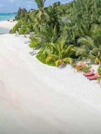 🌴 Stay at Emerald Faarufushi Maldives – A Slice of Paradise! 🏝️