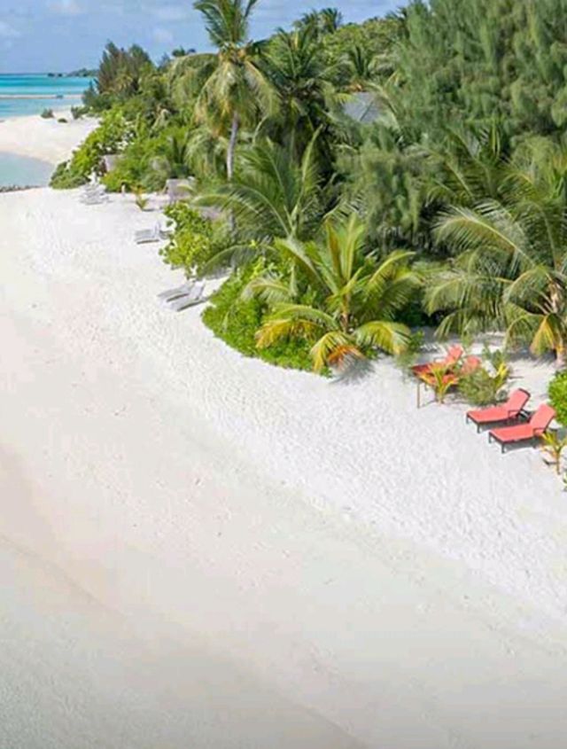 🌴 Stay at Emerald Faarufushi Maldives – A Slice of Paradise! 🏝️
