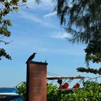 Penang | Lone Pine – A Summer Daydream Come True 🌴☀️🌧 