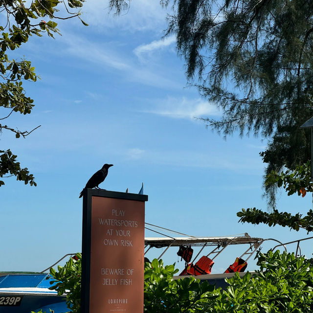 Penang | Lone Pine – A Summer Daydream Come True 🌴☀️🌧 