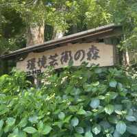 【佐賀】環境芸術の森　新緑一般公開！！森林浴でリフレッシュ💚