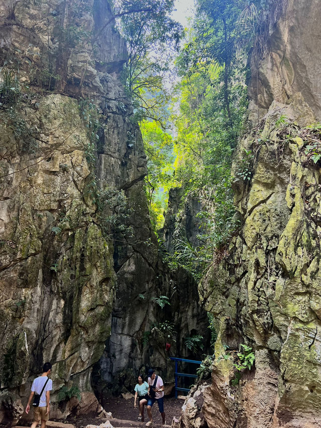 “The Mirror Lake of Ipoh: Where Nature Reflects Beauty”