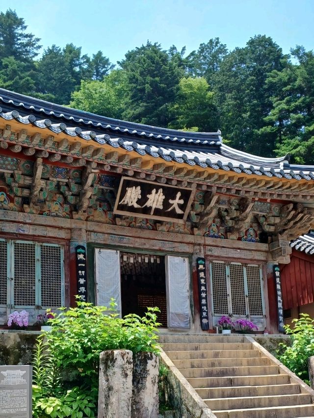 목조 건축미에 빠지다 🪵