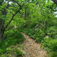 Conquering Namdeokyusan Like a Champ