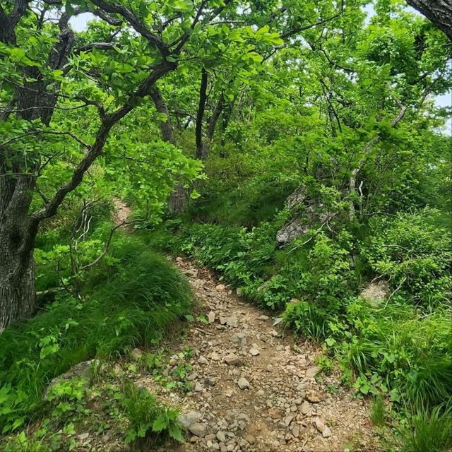 Conquering Namdeokyusan Like a Champ