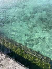 町のすぐそばにこの透明度！？与論島・茶花海岸でひと休み