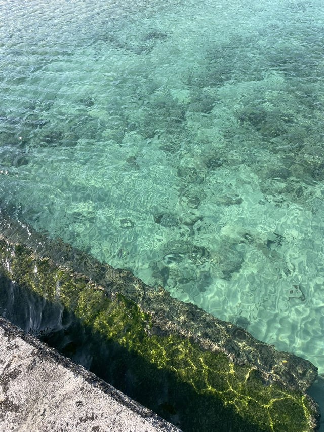 町のすぐそばにこの透明度！？与論島・茶花海岸でひと休み