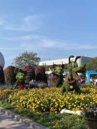 🏰 Walt Disney World 