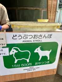 日本親子遊🇯🇵東京近郊，放羊體驗，千本松牧場🐴🐰🐄🐃🐑