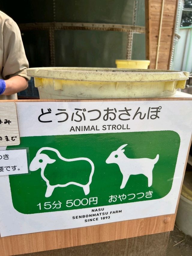 日本親子遊🇯🇵東京近郊，放羊體驗，千本松牧場🐴🐰🐄🐃🐑