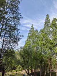 A Refreshing Green Escape – Daning Lingshi (Daning) Park, Shanghai