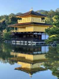 大阪金閣寺 💕 燃燒在文字與現實間的幻美