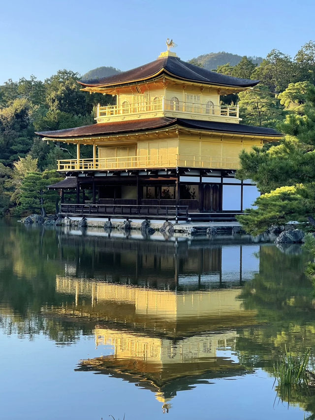 大阪金閣寺 💕 燃燒在文字與現實間的幻美