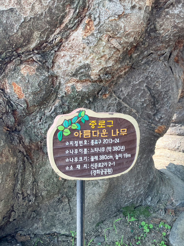 조용한 오후 우리 둘만의 궁궐 산책 어때요?