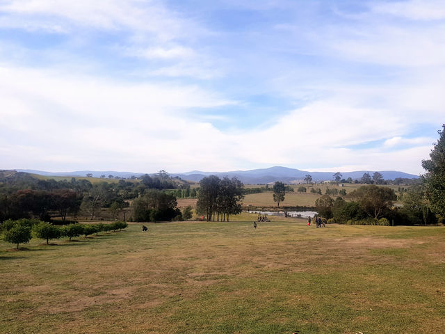 The Dandenong Ranges and the Yarra Valley - two popular destinations in Victoria