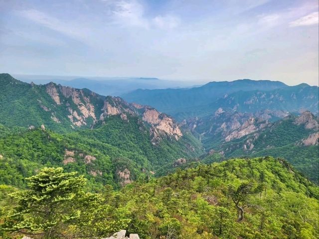 Big Name, Bigger Views, Zero Regrets